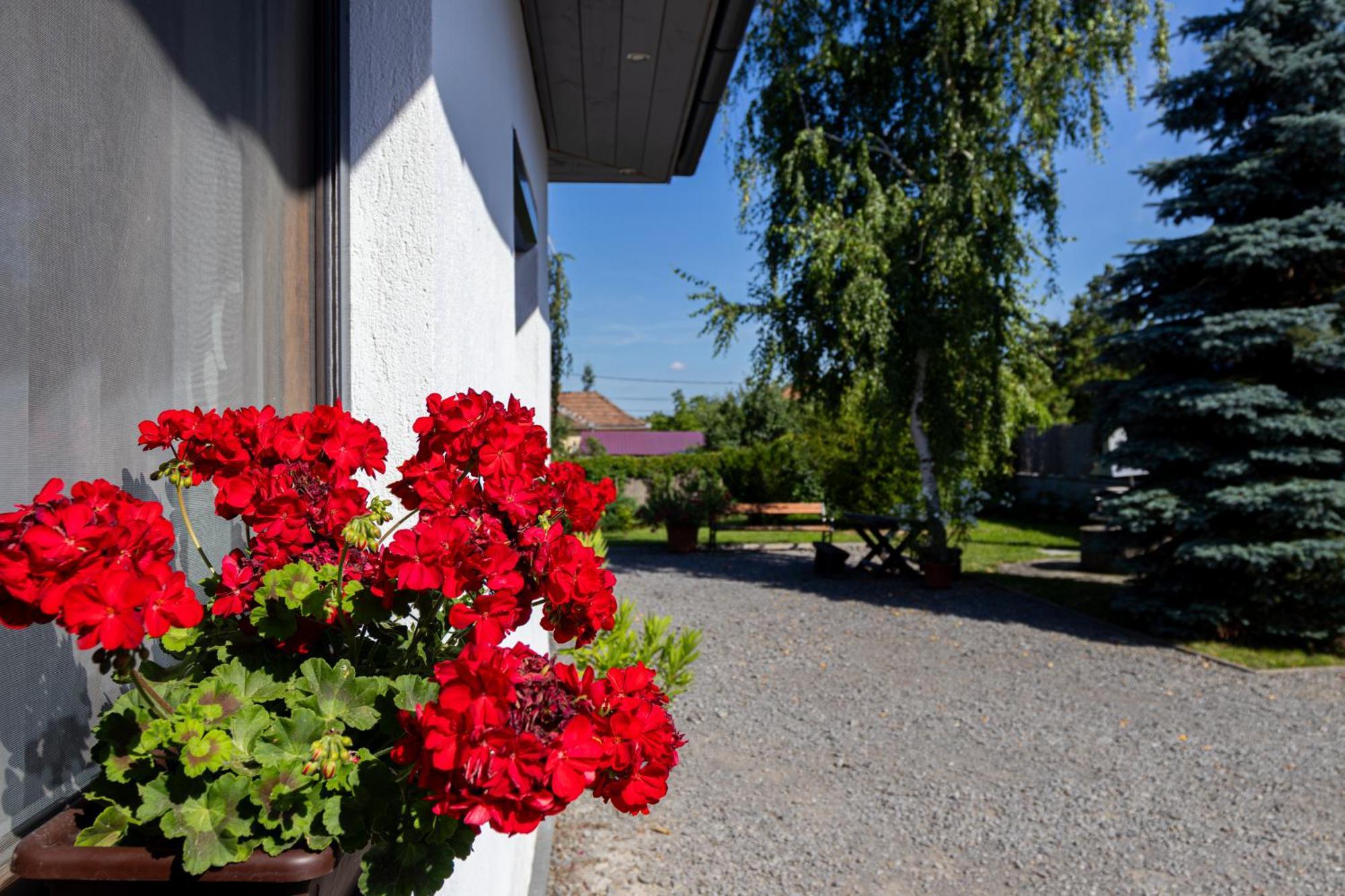 Kincső Vendégház Sárospatak Exterior foto